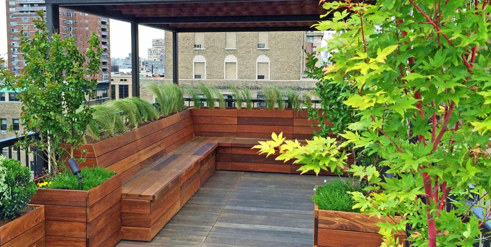 Next landscaping project